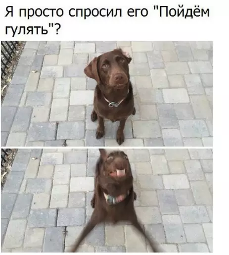 Смешная картинка №292541