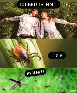 Смешная картинка №641396