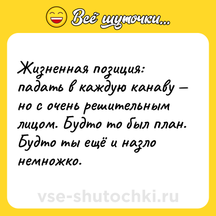 Шутка: Жизненная позиция: падать в каждую канаву — но с очень решительным лицом. Будто то был план. Будто ты ещё и назло немножко.
