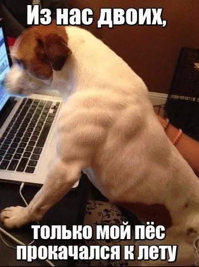 Смешная картинка №180756