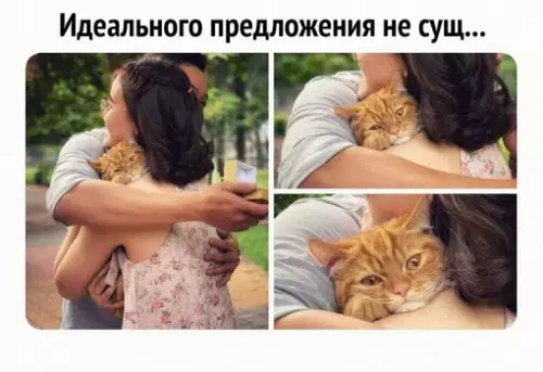 Смешная картинка №702451