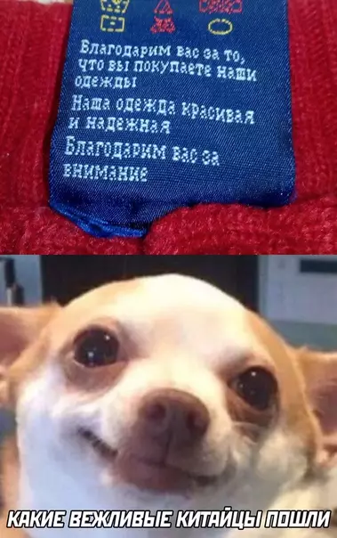 Смешная картинка №496414