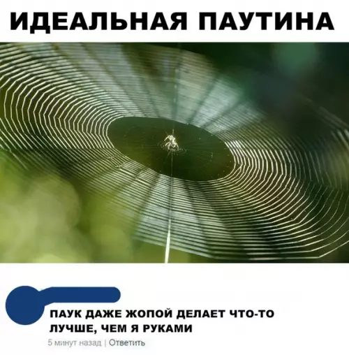 Смешная картинка №296068