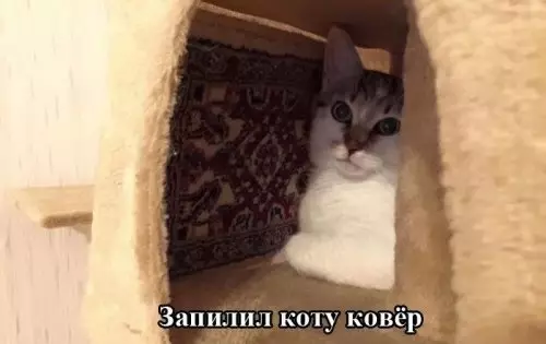 Смешная картинка №313232
