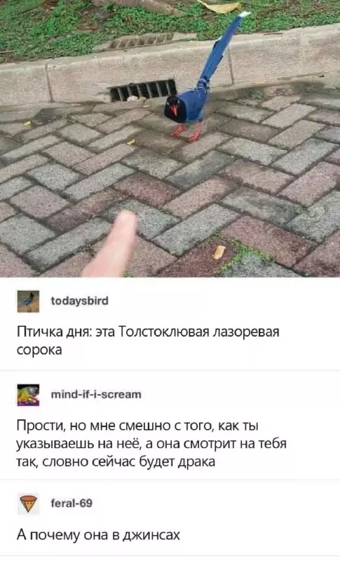Смешная картинка №671623