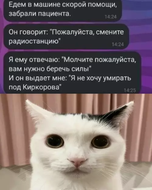Хуже смерти только Киркоров 🎤💀 - Едем в машине скорой помощи, забрали пациента. Он говорит: Пожалуйста,