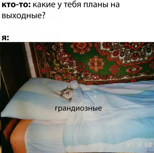 Смешная картинка №655476