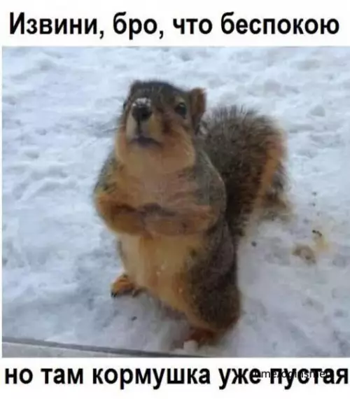 Смешная картинка №671885