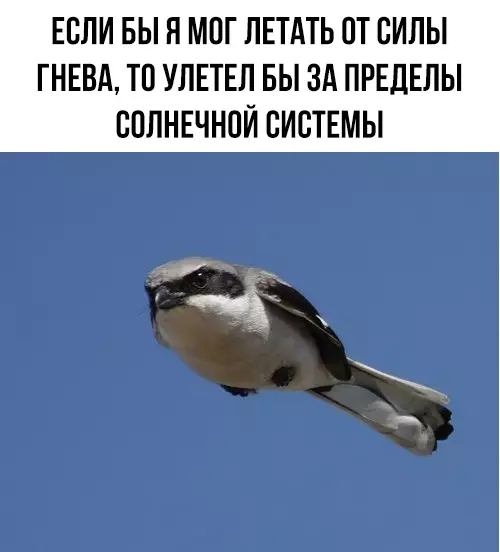 Смешная картинка №283450