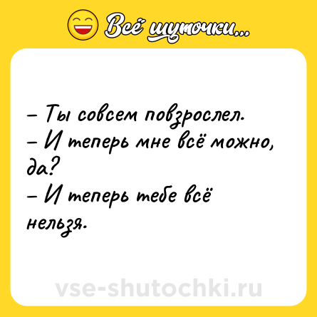 Шутка: – Ты совсем повзрослел.<br>– И теперь мне всё можно, да?<br>– И теперь тебе всё нельзя.