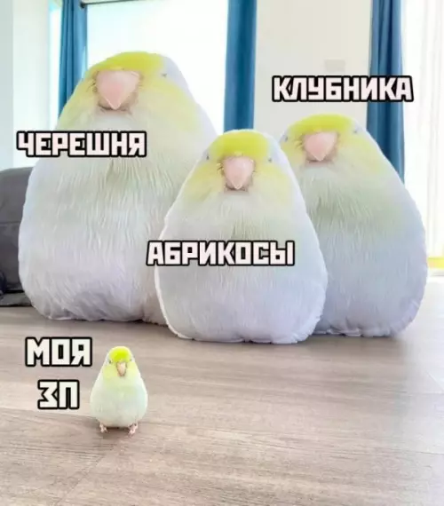 Смешная картинка №686507