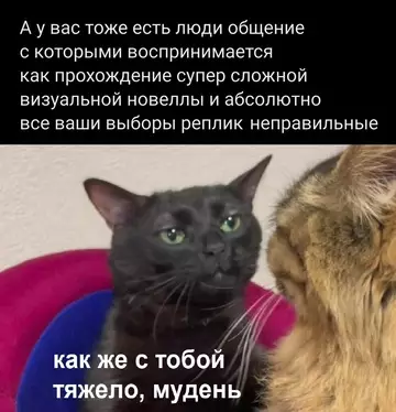 Смешная картинка №763512