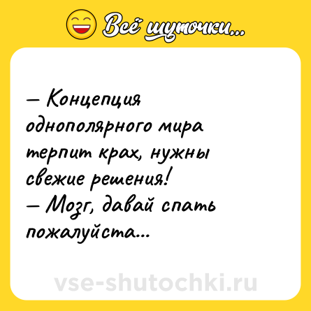 Шутка: — Концепция однополярного мира терпит крах, нужны свежие решения! <br>— Мозг, давай спать пожалуйста...