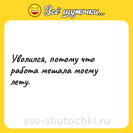 Шутка: Уволился, потому что работа мешала моему лету.