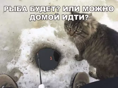 Смешная картинка №249629