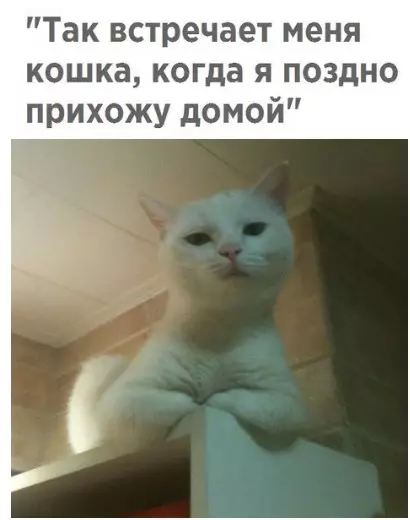 Смешная картинка №261562