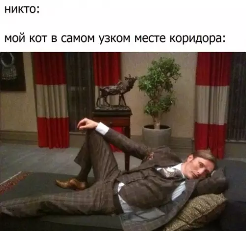 Смешная картинка №629702