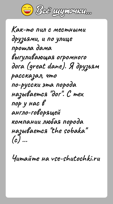 История: Как-то пил с местными друзьями, и по улице прошла дама выгуливающая огромного дога (great dane). Я друзьям рассказал, что по-русски