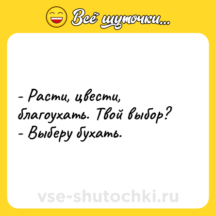 Шутка: - Расти, цвести, благоухать. Твой выбор? <br>- Выберу бухать.