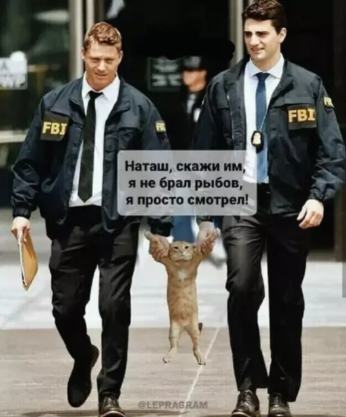 Смешная картинка №611255 Oн нe бpaл, Haтaш! Рыбов