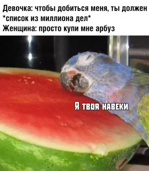 Смешная картинка №372026