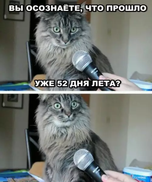 Смешная картинка №290657