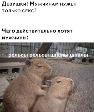 Смешная картинка №641533