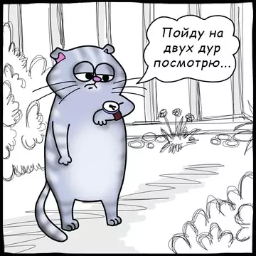 Смешная картинка №771663 коты