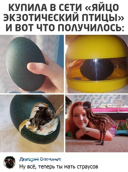 Смешная картинка №574028