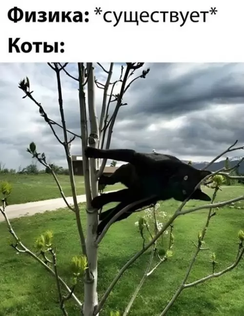 Смешная картинка №766593