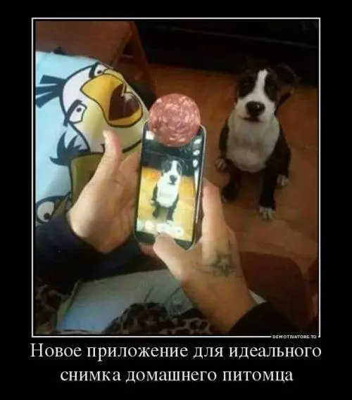 Смешная картинка №182805