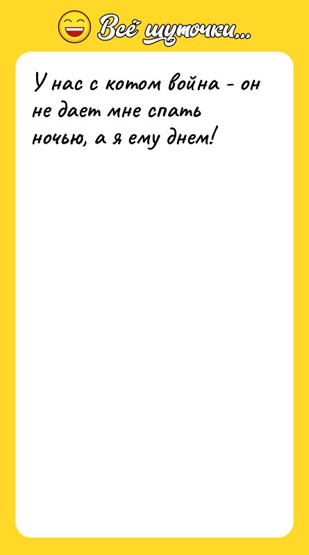 У нас с котом война - он не дает мне