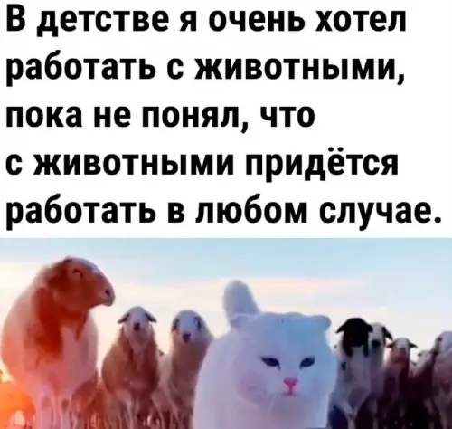 Смешная картинка №723963 работа