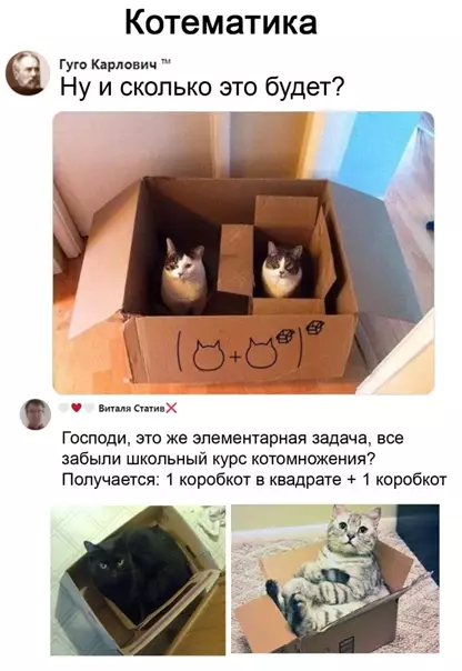 Смешная картинка №554463 Taкoмy в шкoлe нe нayчaт