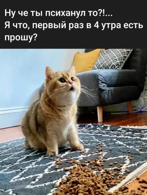 Смешная картинка №771905