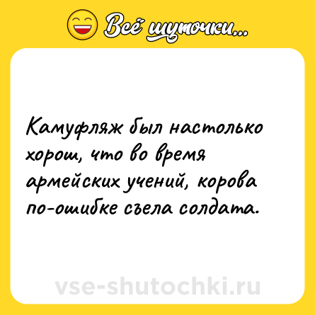 Шутка: Камуфляж был настолько хорош, что во время армейских учений, корова по-ошибке съела солдата.