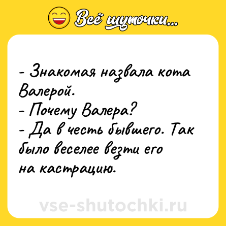 Шутка: - Знакомая назвала кота Валерой.<br>- Почему Валера?<br>- Да в честь бывшего. Так было веселее везти его на кастрацию.
