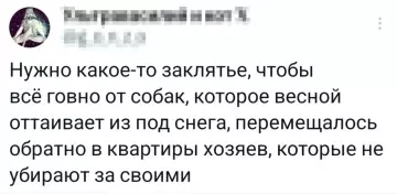 Весна и собачьи приключения