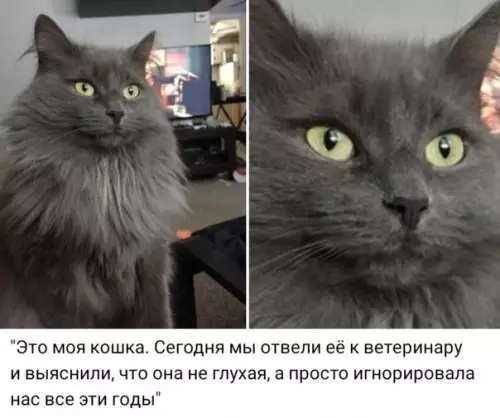 Смешная картинка №550333 А она не промах!