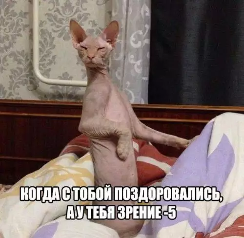 Смешная картинка №233945
