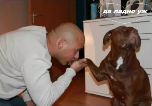 Смешная картинка №272806