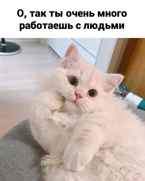 Смешная картинка №709374