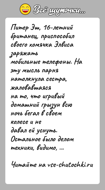 История: Питер Эш, 16-летний британец, приспособил своего хомячка Элвиса заряжатьмобильные телефоны. На эту мысль парня натолкнула сестра, жаловавшаясяна то, что игривый