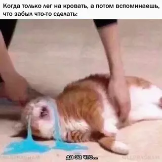 Смешная картинка №672663