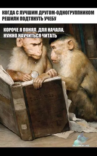 Смешная картинка №349048