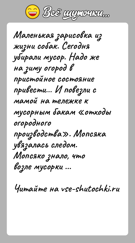 История: Маленькая зарисовка из жизни собак. Сегодня убирали мусор. Надо же на зиму огород в пристойное состояние привести И повезли с