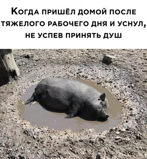 Смешная картинка №570517