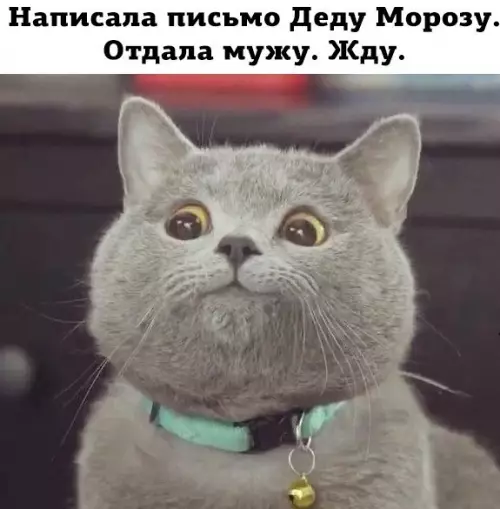 Смешная картинка №230135