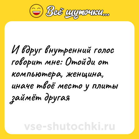 Шутка: И вдруг внутренний голос говорит мне: Отойди от компьютера, женщина, иначе твоё место у плиты займёт другая