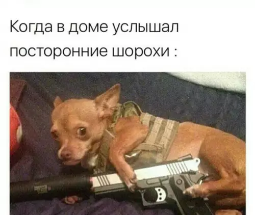 Смешная картинка №280241